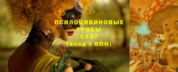 шишки Алексеевка